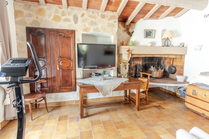 Salon avec vue sur cheminée pierre