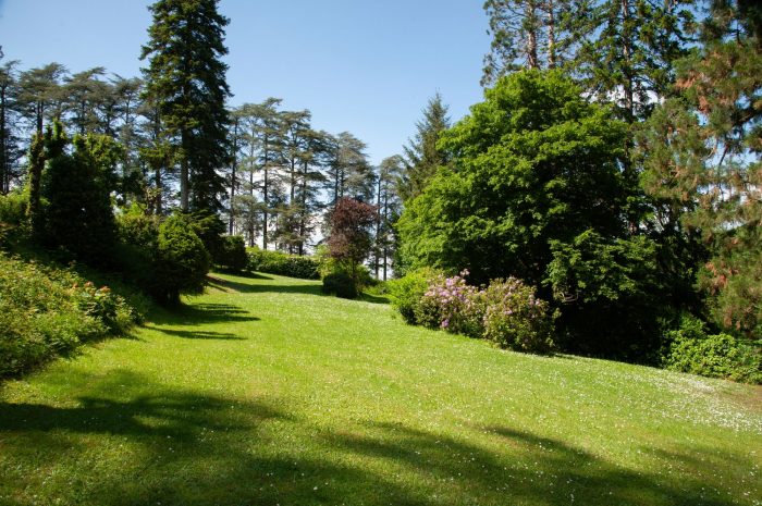 Perspective sur les jardins étagés