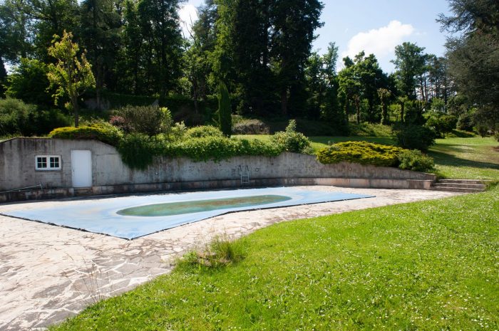 Piscine 11×6 dans le parc
