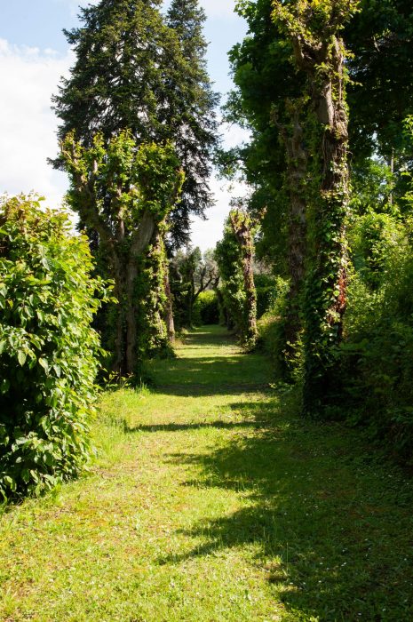 Allée boisée du parc